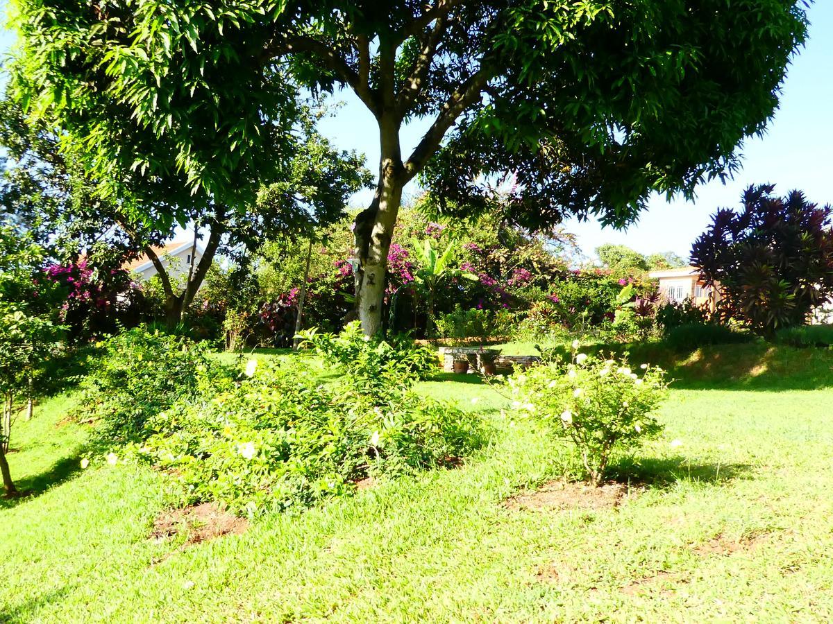 Pineapple Guest House Entebbe Exterior photo